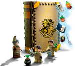 76384-harry-potter-zajecia-z-zielarstwa-klocki-lego-4.jpg