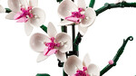 10311-kwiaty-kwiat-lego-orchidea-klocki-4.jpg