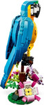 31136-papuga-egzotyczna-creator-klocki-lego-3.jpg