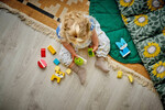10477-kreatywne-zwierzaki-klocki-lego-duplo-4.jpg
